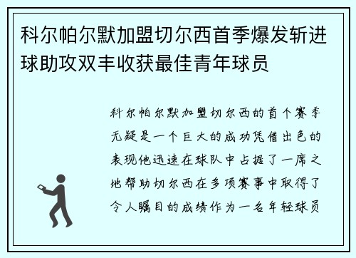 科尔帕尔默加盟切尔西首季爆发斩进球助攻双丰收获最佳青年球员